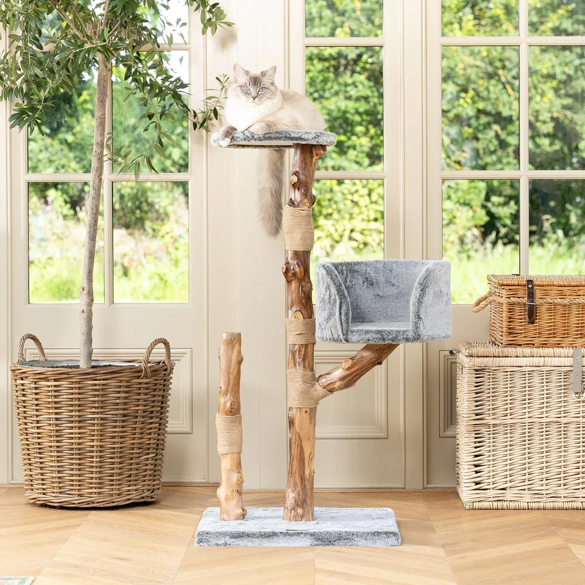 Cat resting on top perch of Lords & Labradors Back to Nature Trio cat tree by a window