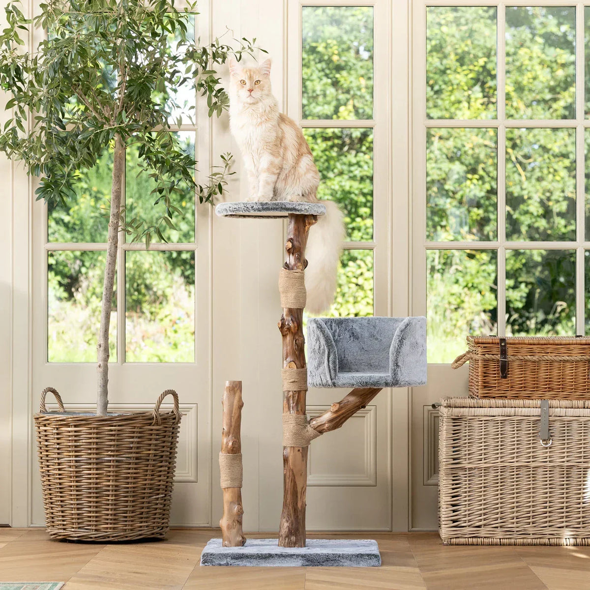 Lords & Labradors Back to Nature Trio cat tree placed in a living room with natural light