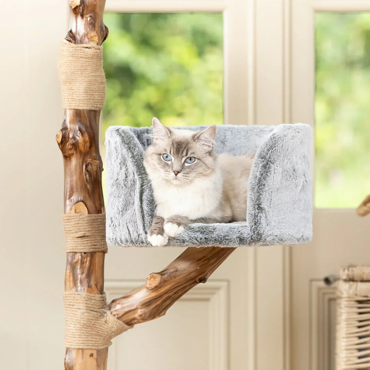 Cat resting in cushioned side bed on Lords & Labradors Back to Nature Trio cat tree