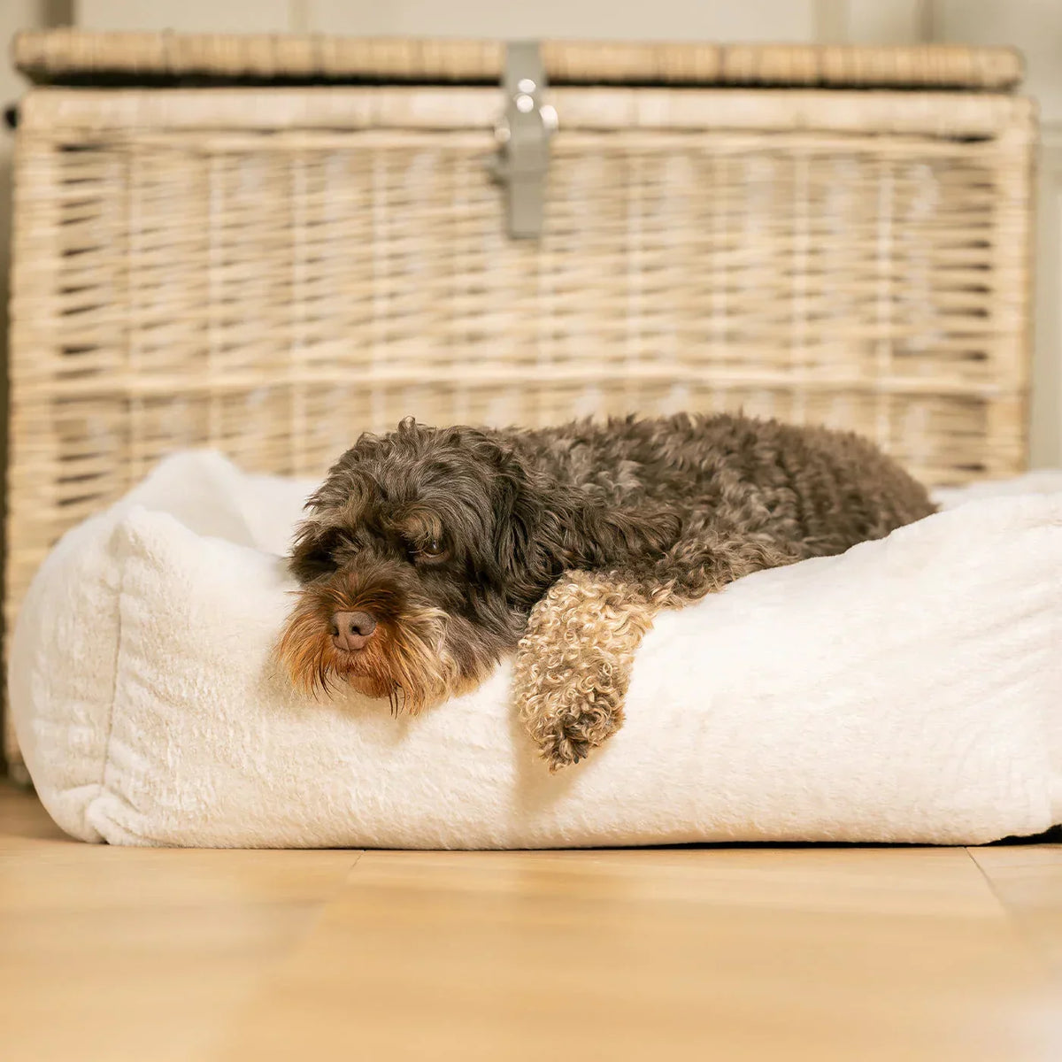 Puppy resting on Lords & Labradors cream faux fur box bed with supportive sides.