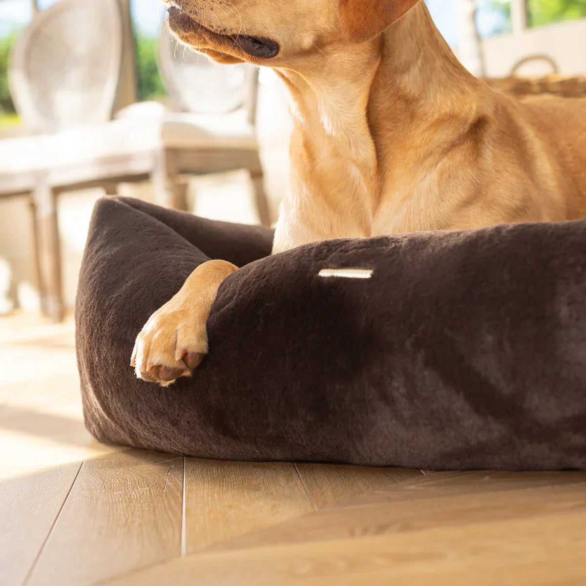 Detail view of Lords & Labradors dusk faux fur box bed highlighting soft fabric and raised side support.