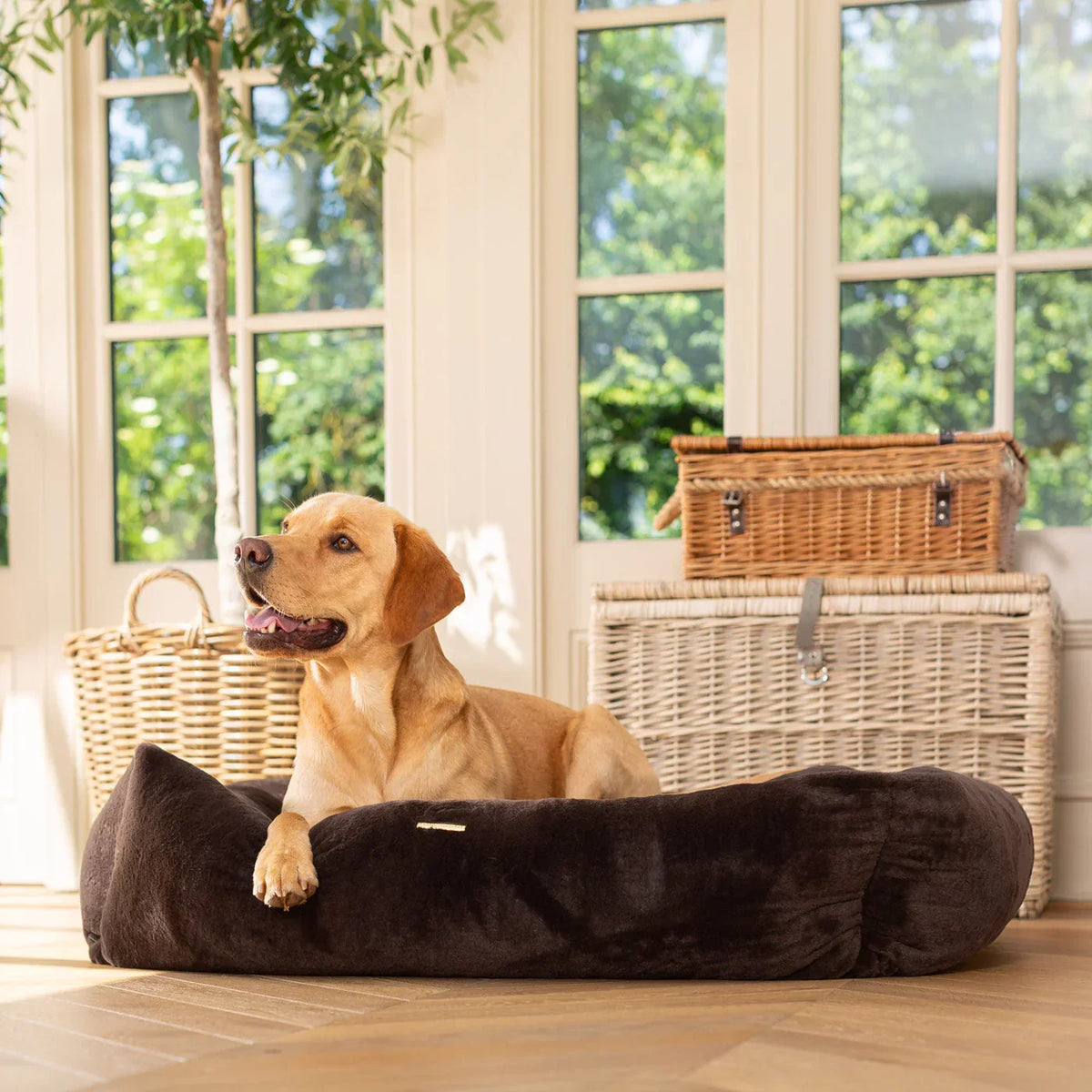 Lords & Labradors dusk faux fur box bed positioned on wooden flooring in a bright living space.