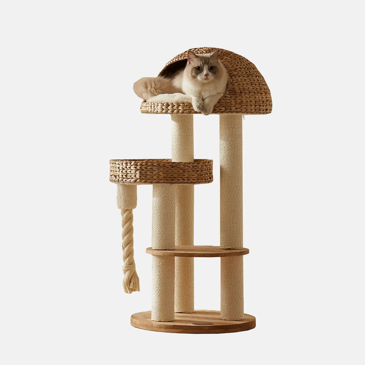 Lords & Labradors Helsinki Dome cat tree with wicker dome bed and platforms in a modern living room