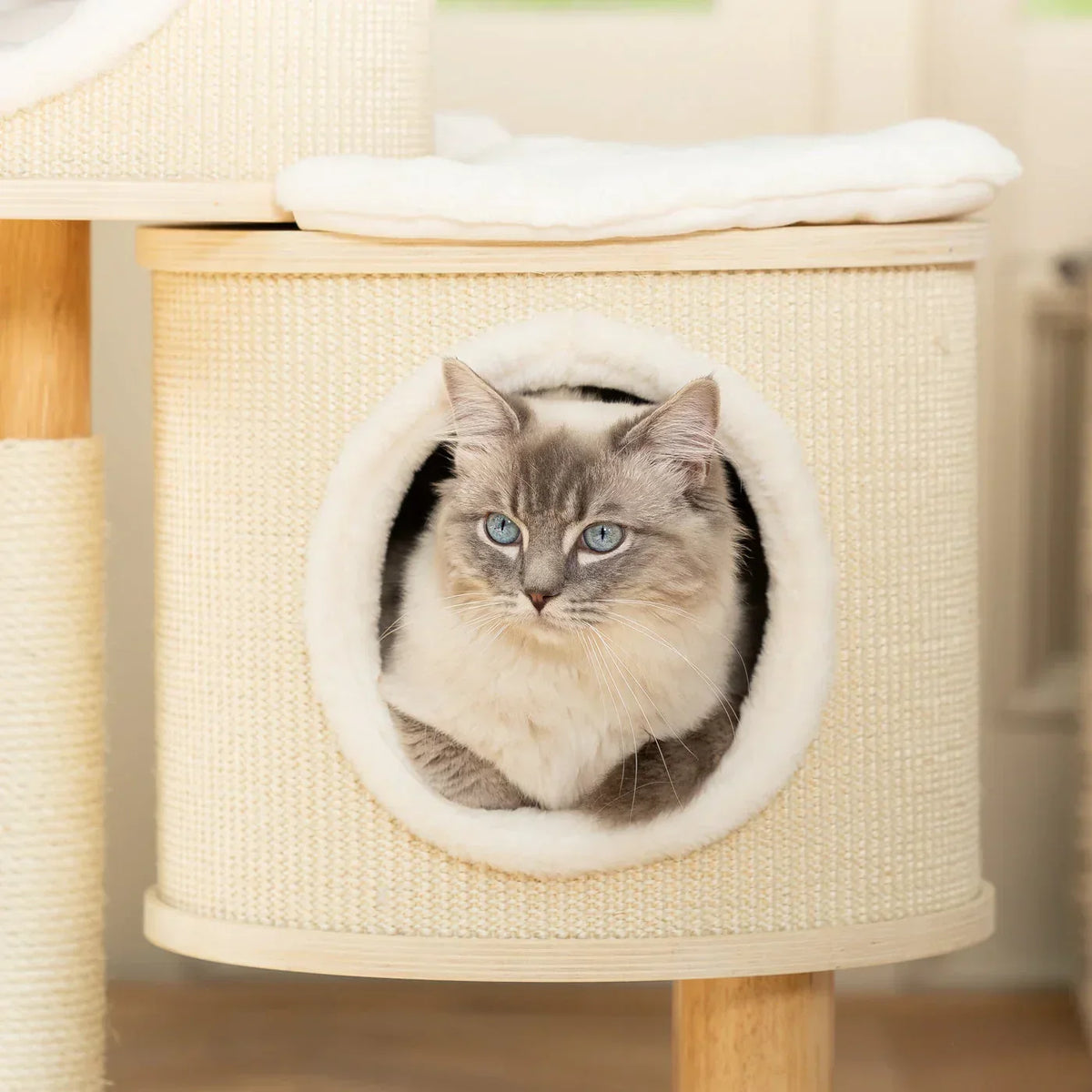 Helsinki Hide & Sleep cat tree by Lords & Labradors with cat resting inside enclosed cave