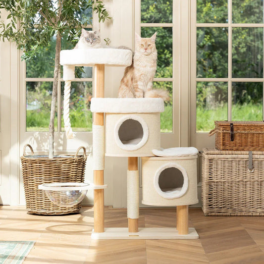 Helsinki Hide & Sleep cat tree by Lords & Labradors with two cats resting on platforms in front of a window