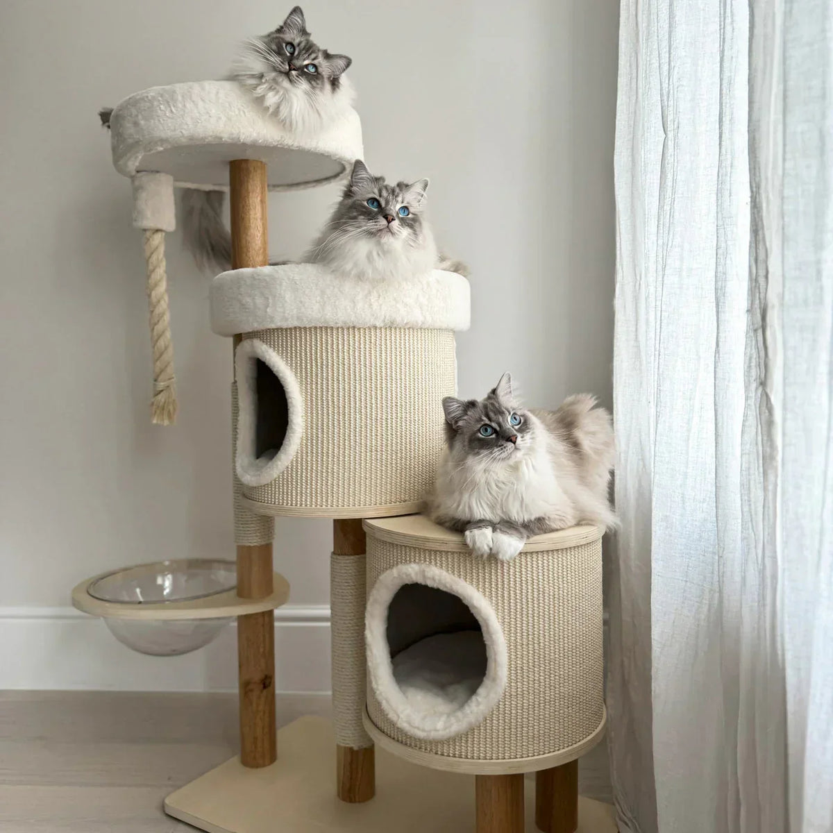Helsinki Hide & Sleep cat tree by Lords & Labradors with three cats using different levels indoors
