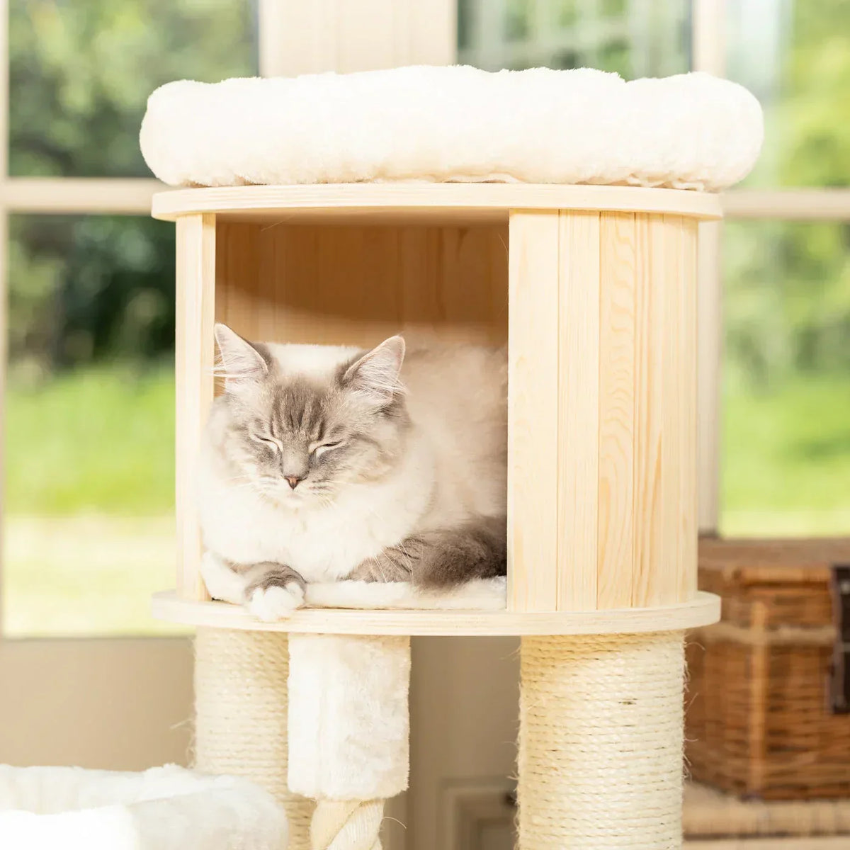 Cat resting inside Helsinki Loft cat tree hideaway with wooden frame and soft cushion