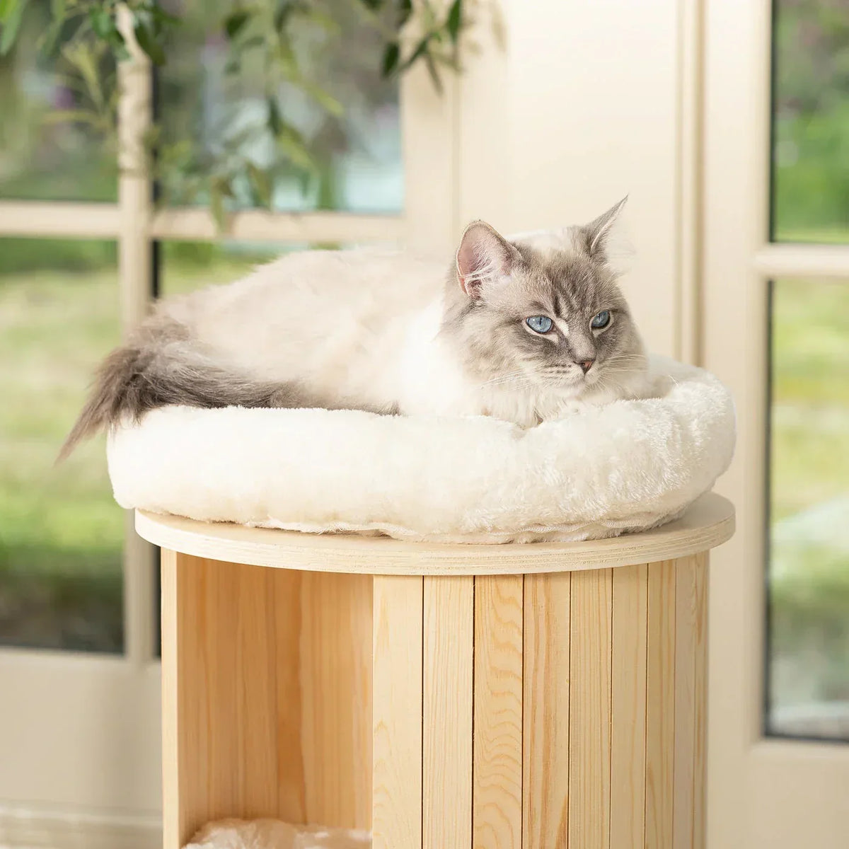 Cat lying on top cushion platform of Helsinki Loft cat tree with raised edge support