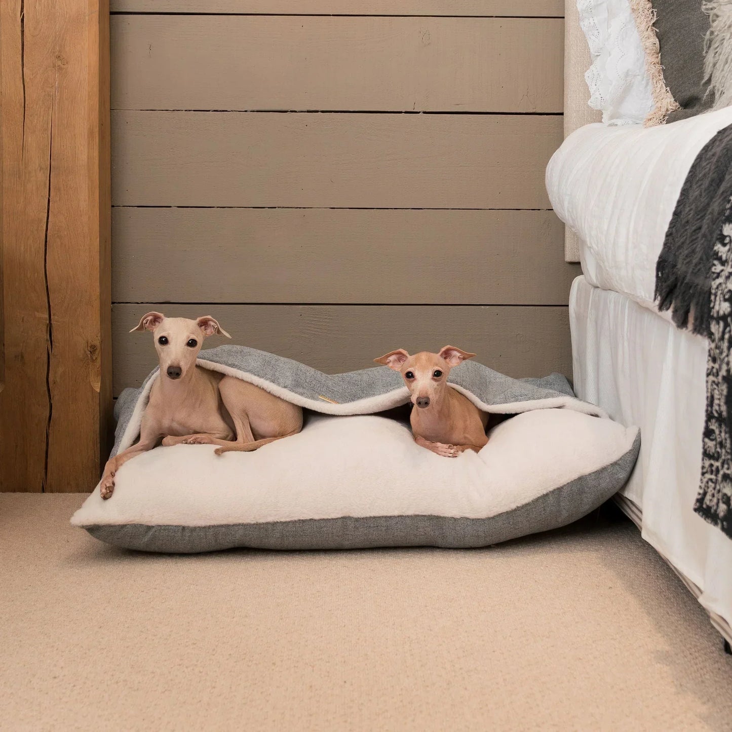 Lords & Labradors Sleepy Burrows dog bed placed beside a bed with Italian greyhounds resting underneath the hood.