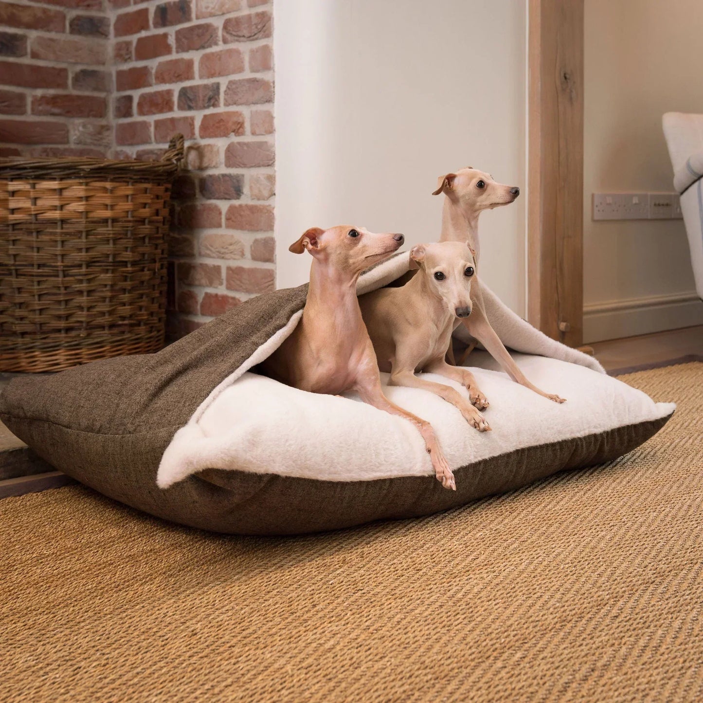 Italian greyhound sleeping on a Sleepy Burrows dog bed with the cover folded open.
