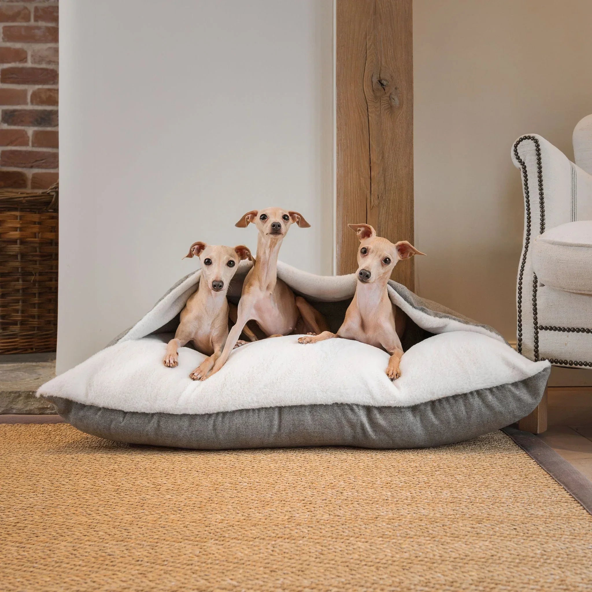Lords & Labradors Sleepy Burrows dog bed in Inchmurrin fabric with three Italian greyhounds resting indoors.