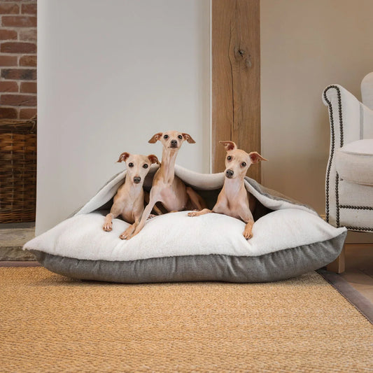 Lords & Labradors Sleepy Burrows dog bed in Inchmurrin fabric with three Italian greyhounds resting indoors.