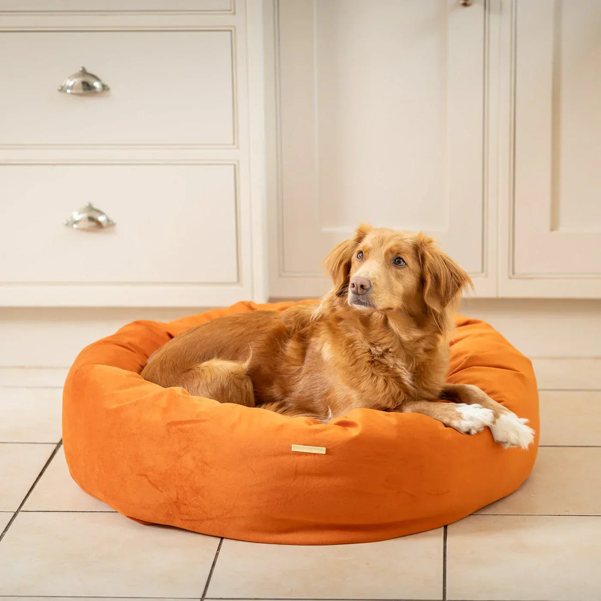 Dog resting in Lords & Labradors Pumpkin velvet donut dog bed indoors
