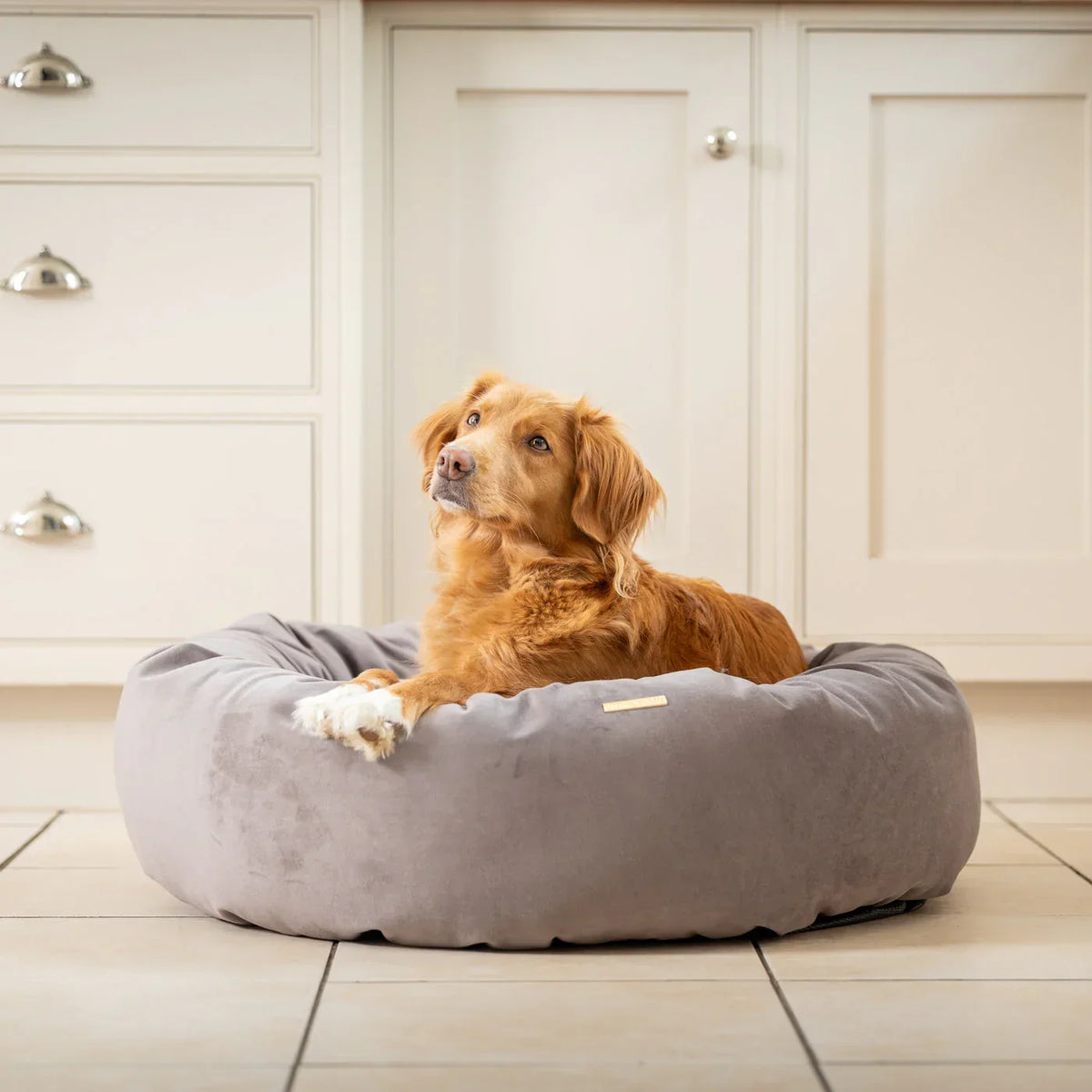 Dog resting in Lords & Labradors Silt velvet donut dog bed indoors