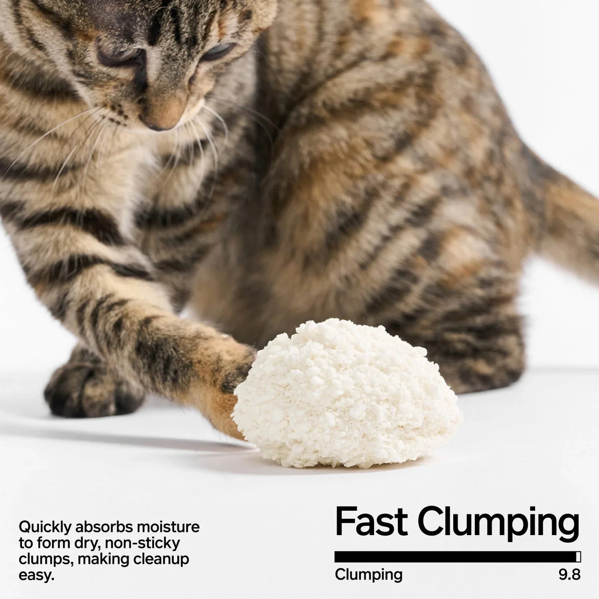 pidan cassava cat litter graphic showing a formed litter clump