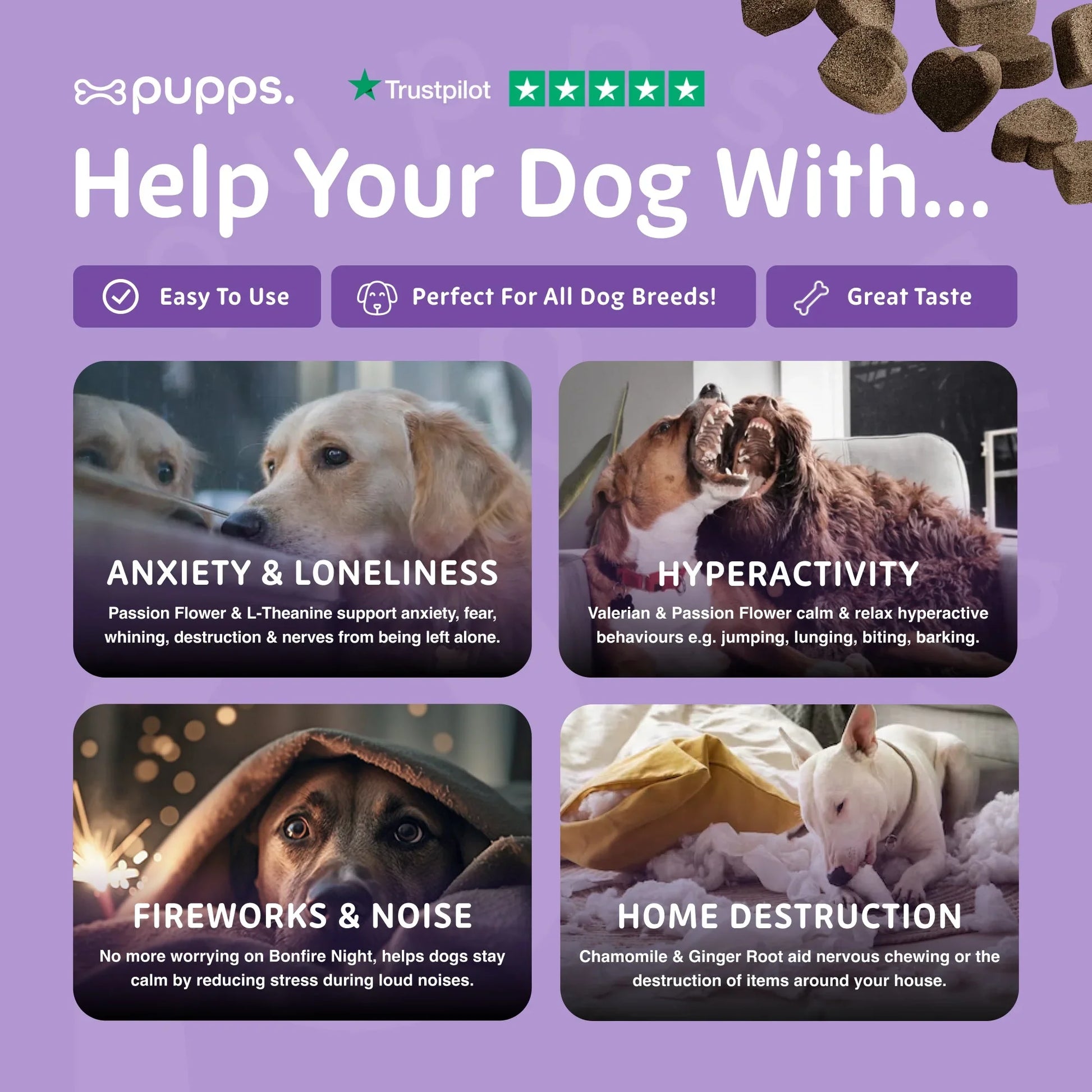 Calming support for dogs during stress, fireworks, and loud noises
