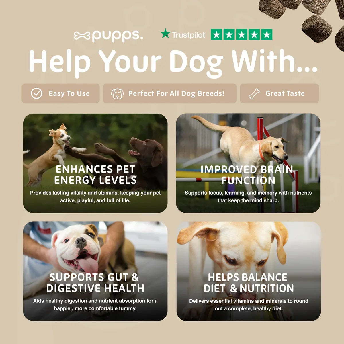 Daily wellbeing support chews for dogs with energy and nutritional benefits
