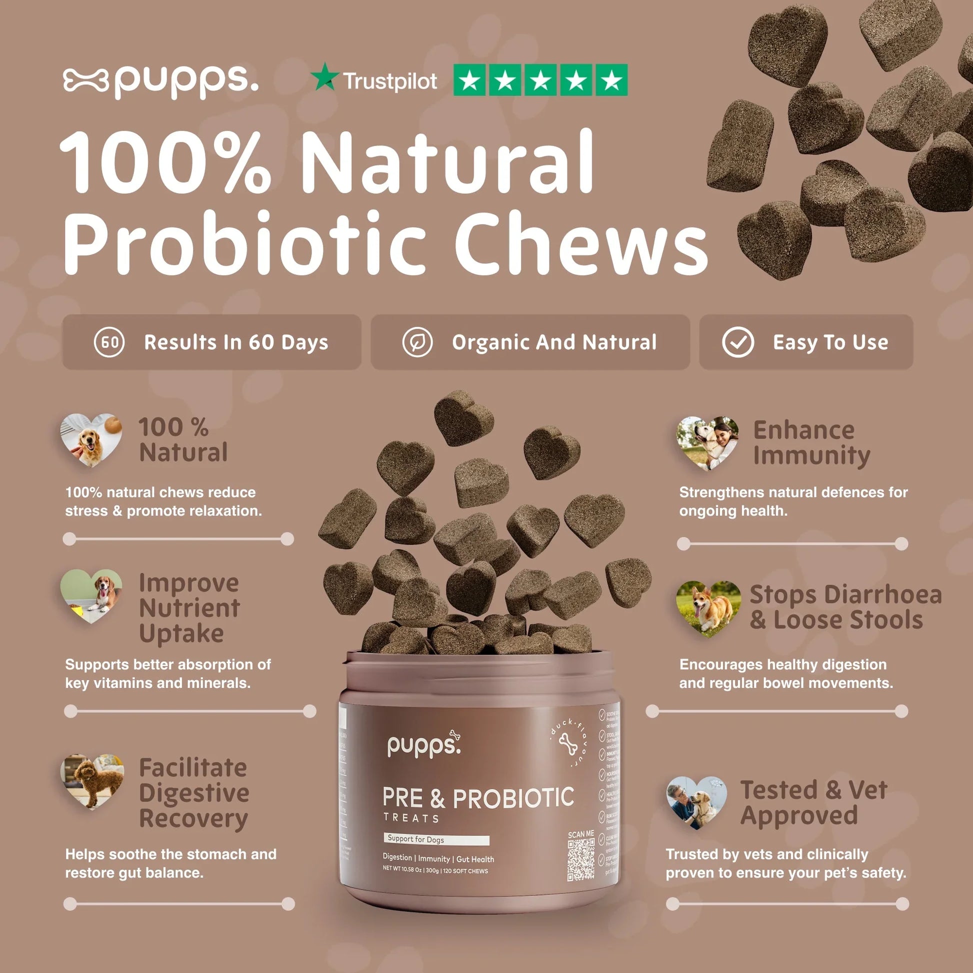 Dog digestive supplement chews with probiotics and prebiotics