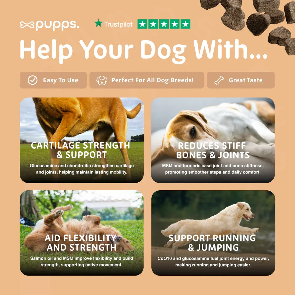 Hip and joint mobility support for active dogs
