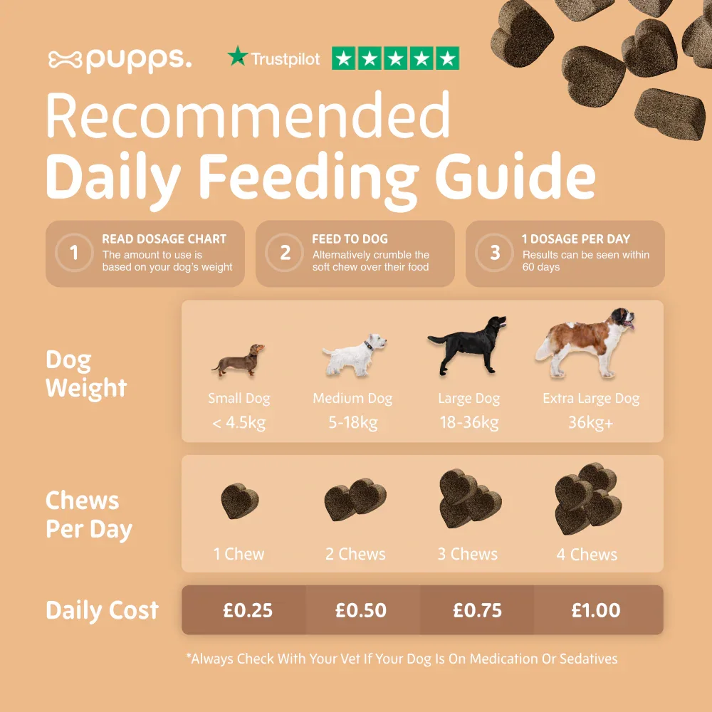 Daily feeding guide for hip and joint supplement chews for dogs