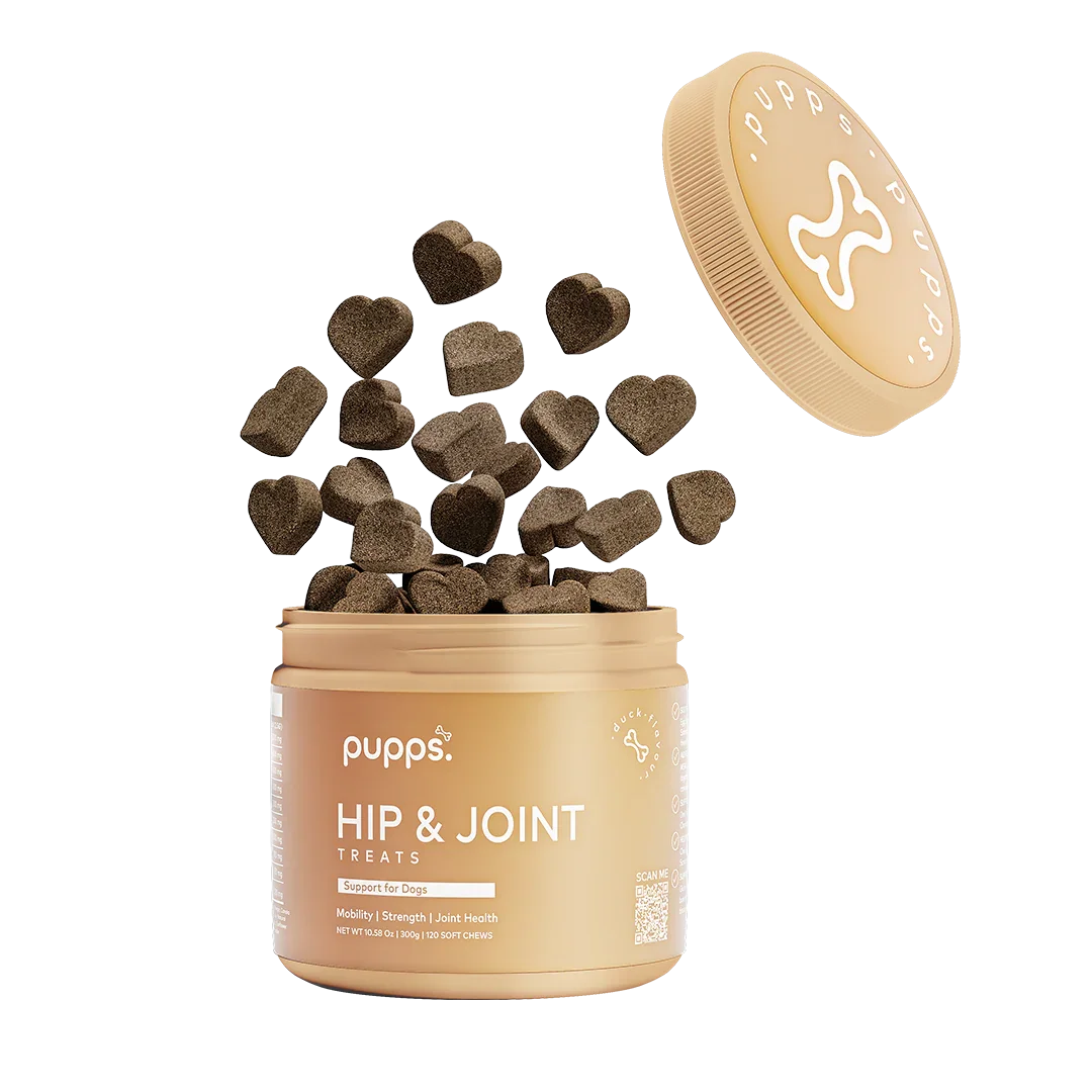 Tub of Pupps hip and joint treats for dogs with soft mobility chews