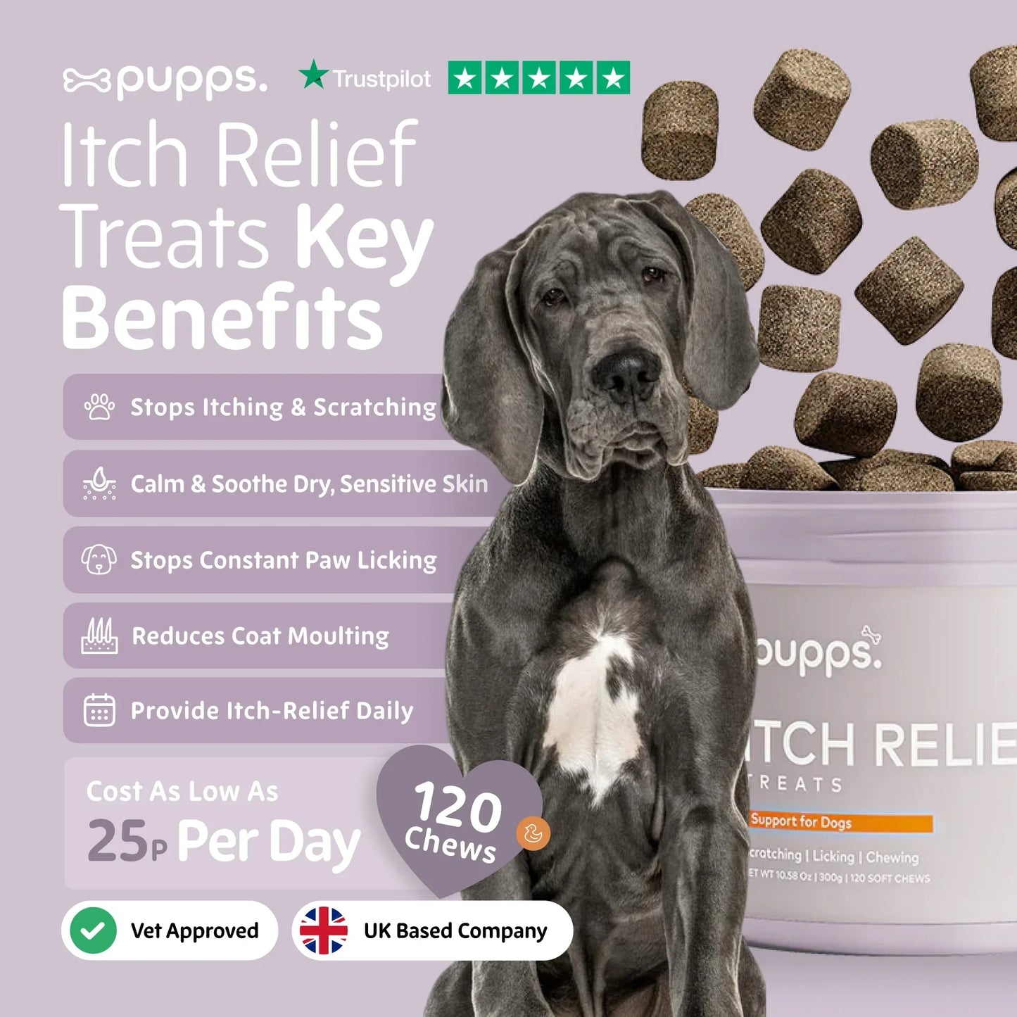 Dog supplement for itching, scratching, paw licking and sensitive skin support