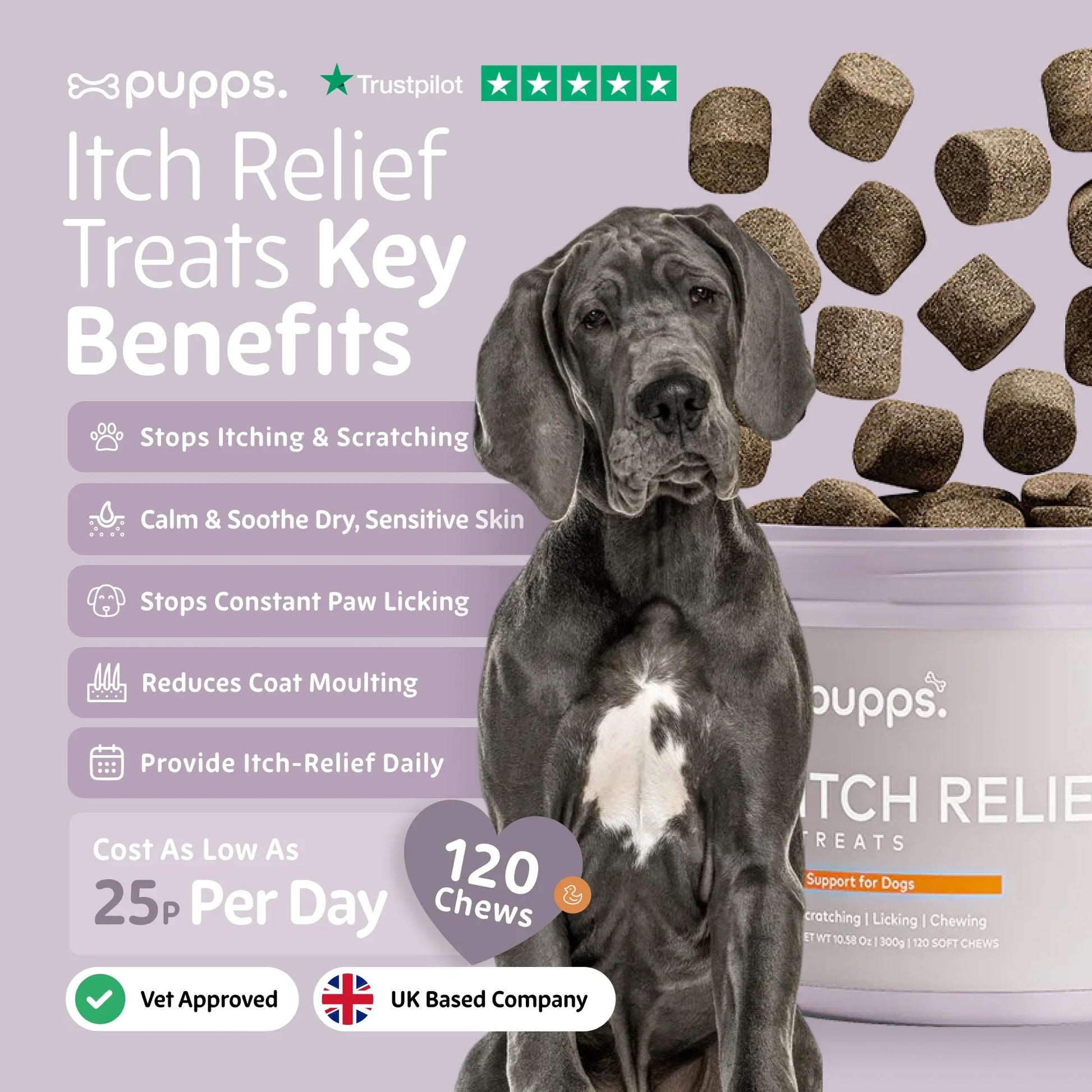 Dog supplement for itching, scratching, paw licking and sensitive skin support