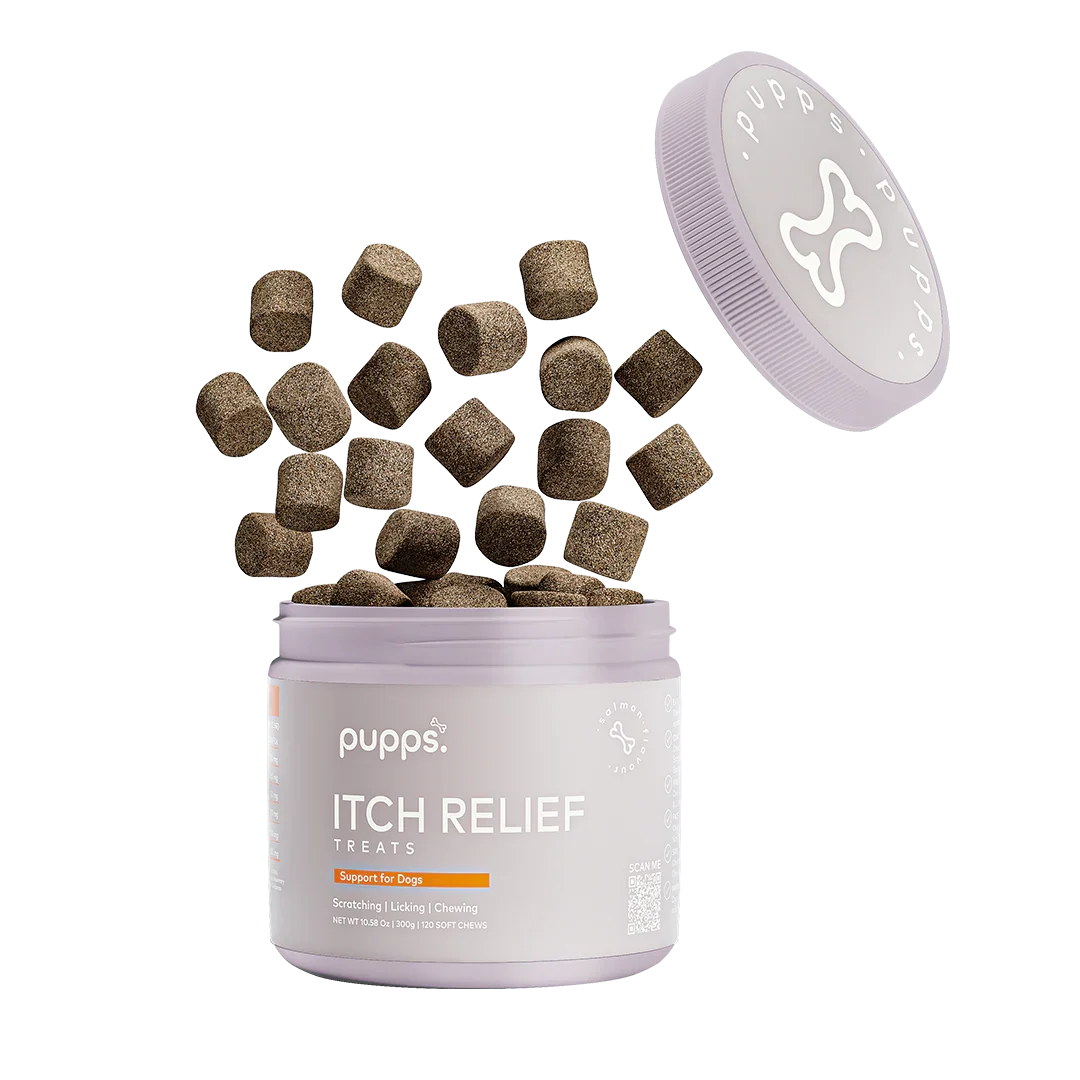 Pupps Itch Relief Treats For Dogs soft chew supplement tub with chews falling from the container