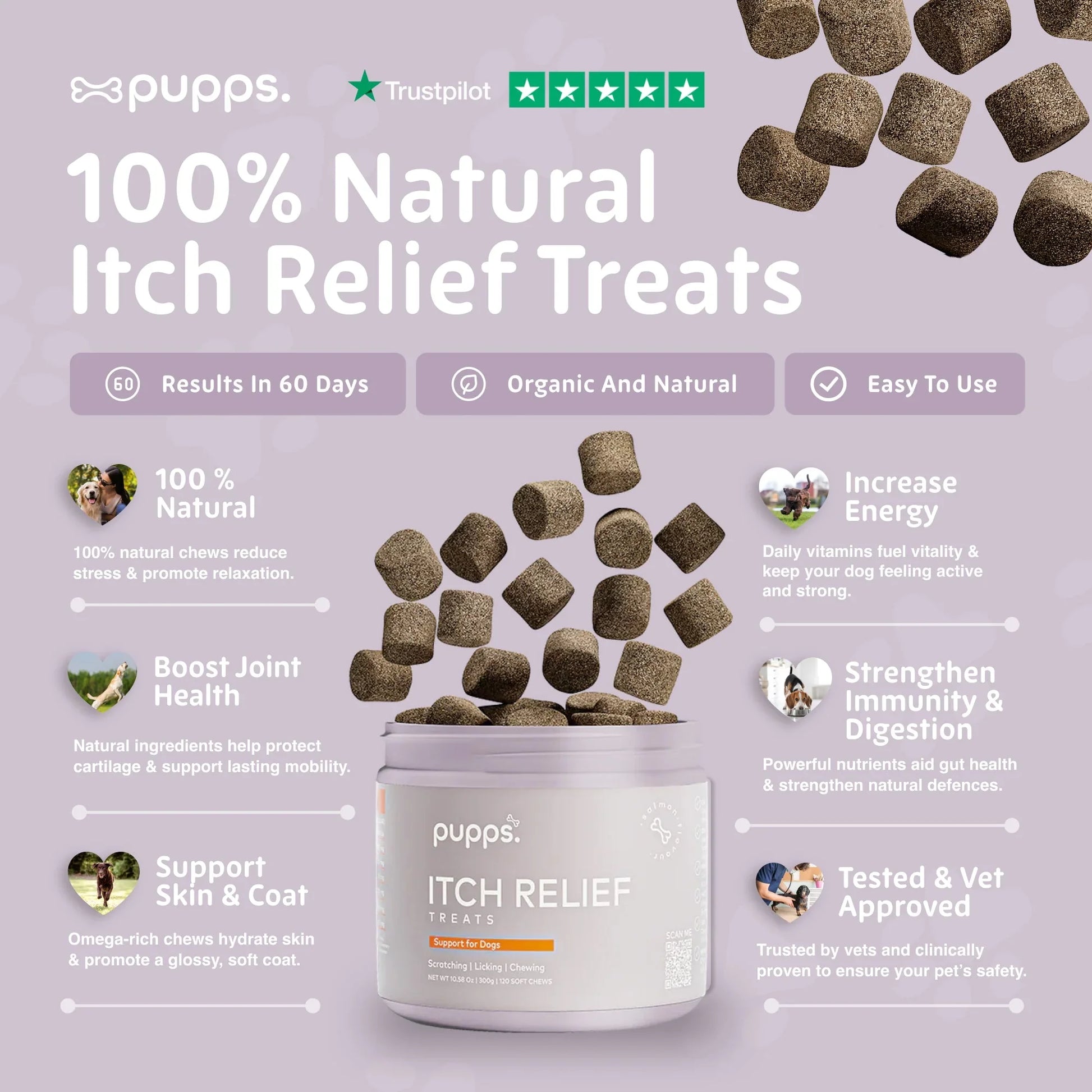 Key ingredients for itch relief treats for dogs including probiotics, salmon oil, turmeric and apple cider vinegar