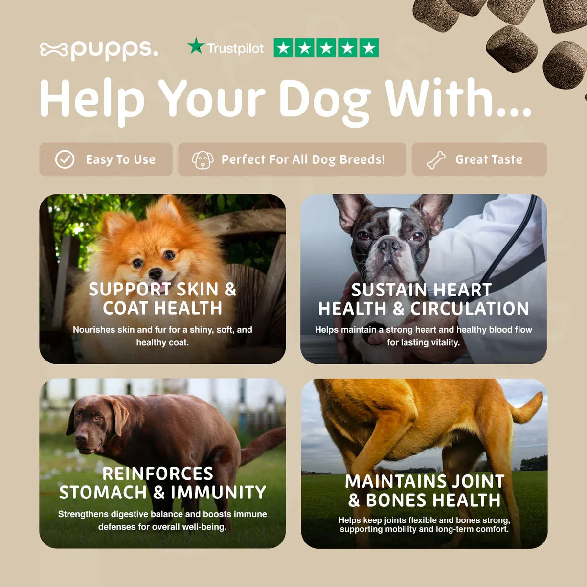 Multivitamin health support for digestion, skin, coat and immunity in dogs