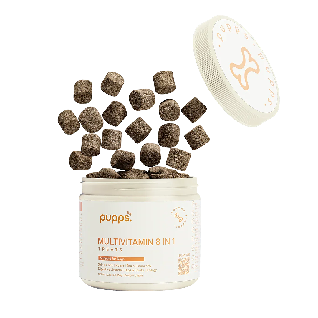 Tub of Pupps Multivitamin Treats For Dogs with daily health support soft chews