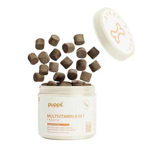 Tub of Pupps Multivitamin Treats For Dogs with daily health support soft chews