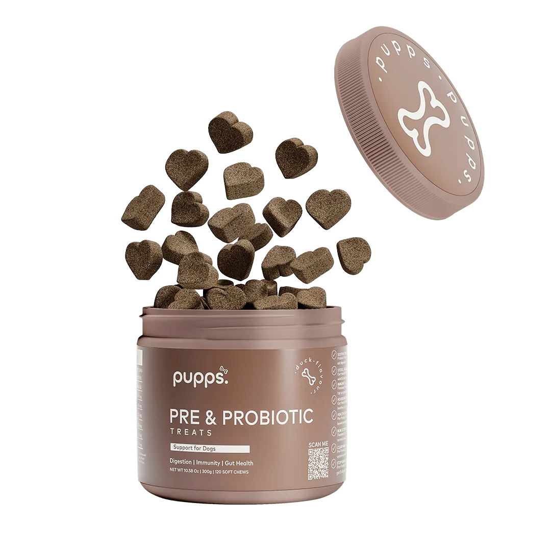 Tub of Pupps probiotic treats for dogs with daily digestive support chews