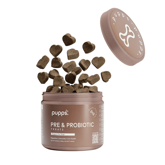 Tub of Pupps probiotic treats for dogs with daily digestive support chews