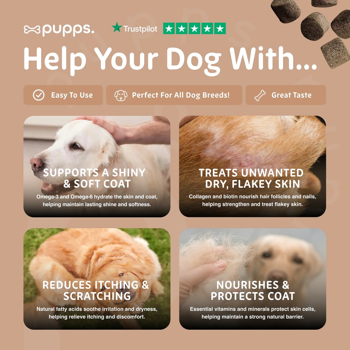 Skin and coat support chews for dogs with dry skin and coat concerns