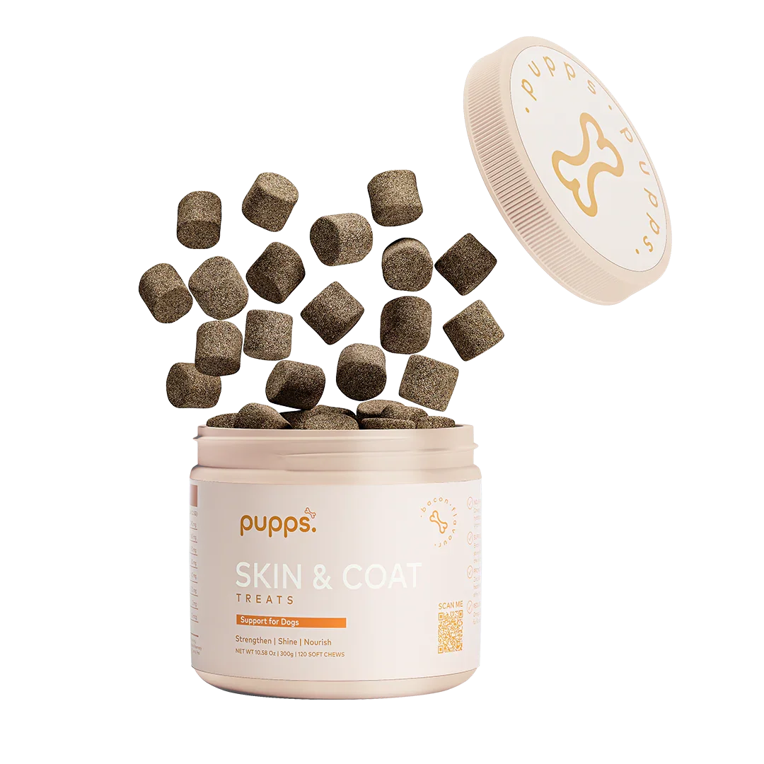 Tub of Pupps skin and coat treats for dogs with daily skin and coat support chews