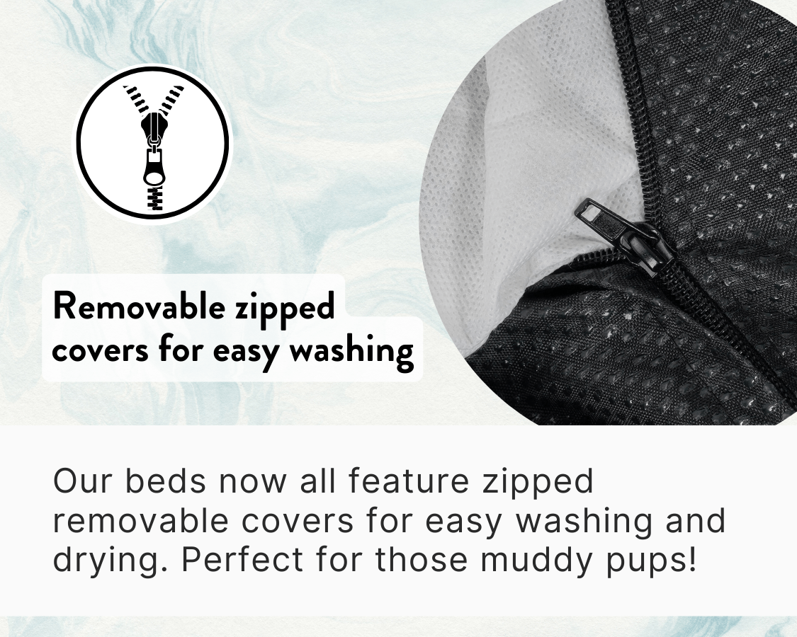 Removable zipped cover showing the inner cushion for easy cleaning.