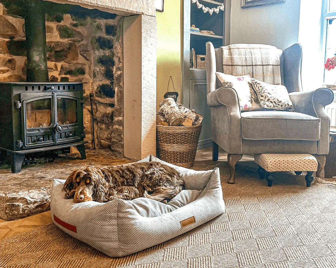 Grey orthopaedic memory foam dog bed displayed in a living room