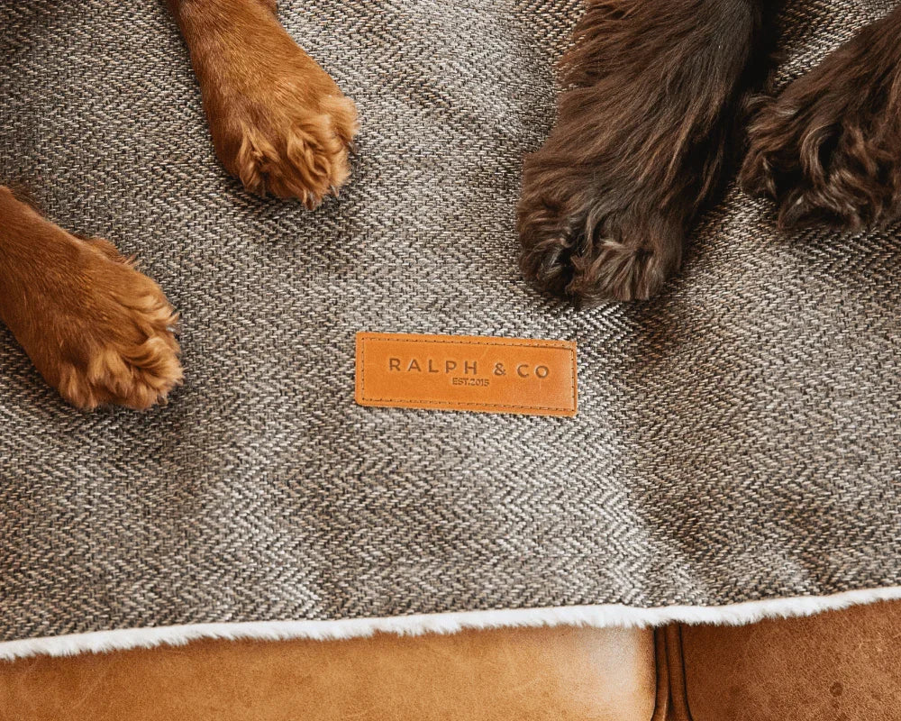 Dog paws resting on a Ralph & Co dog blanket with visible logo detail