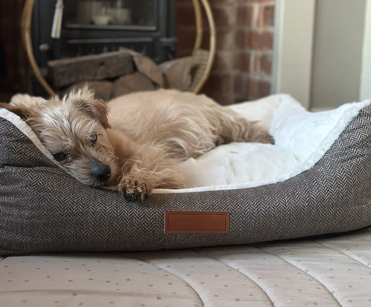 Dog sleeping in a Ralph & Co Lincoln tweed herringbone dog bed