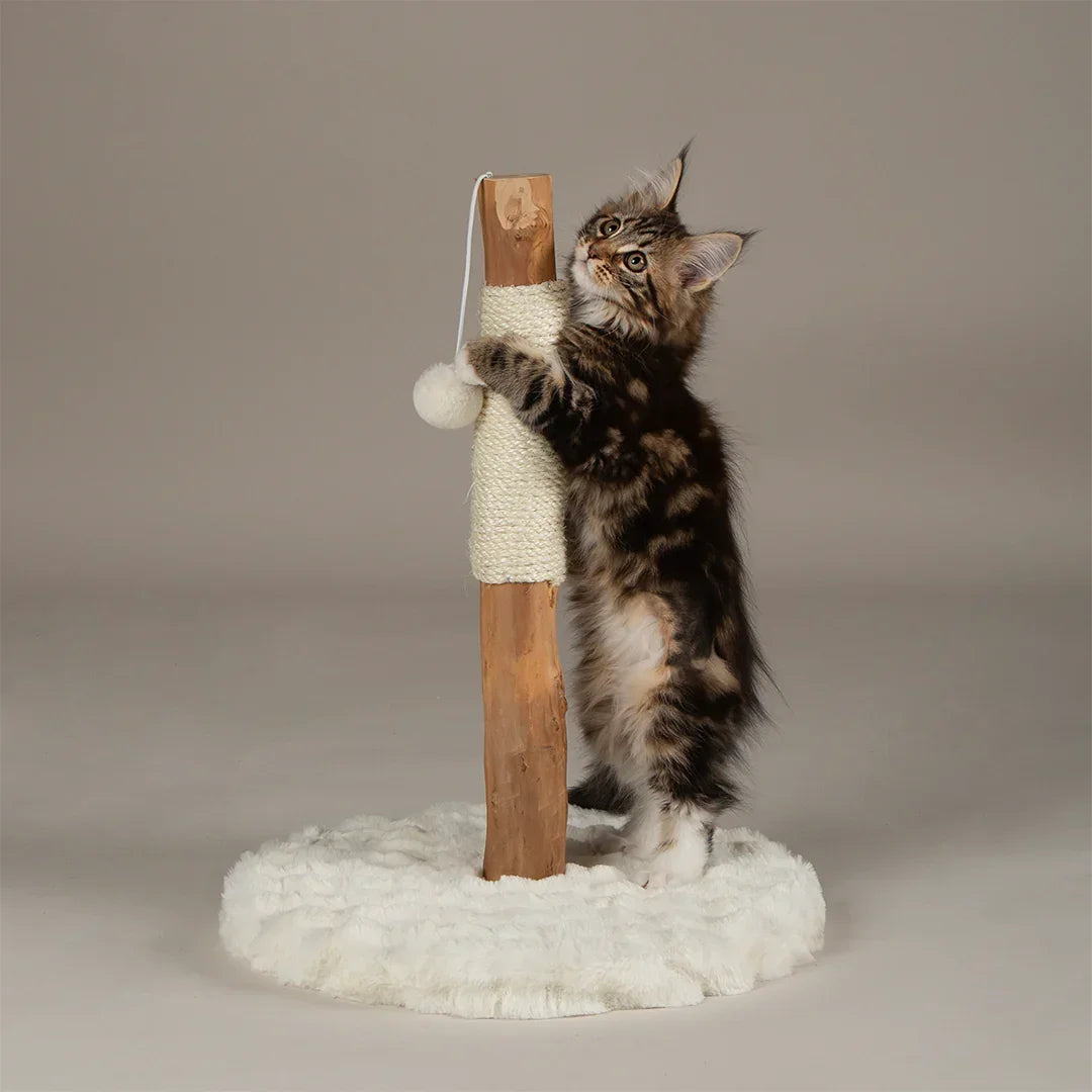 Scruffs Andes kitten scratching post in cream with kitten scratching sisal post
