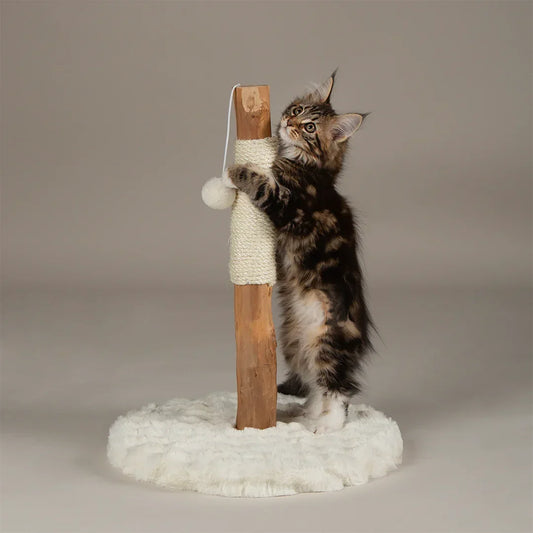 Scruffs Andes kitten scratching post in cream with kitten scratching sisal post