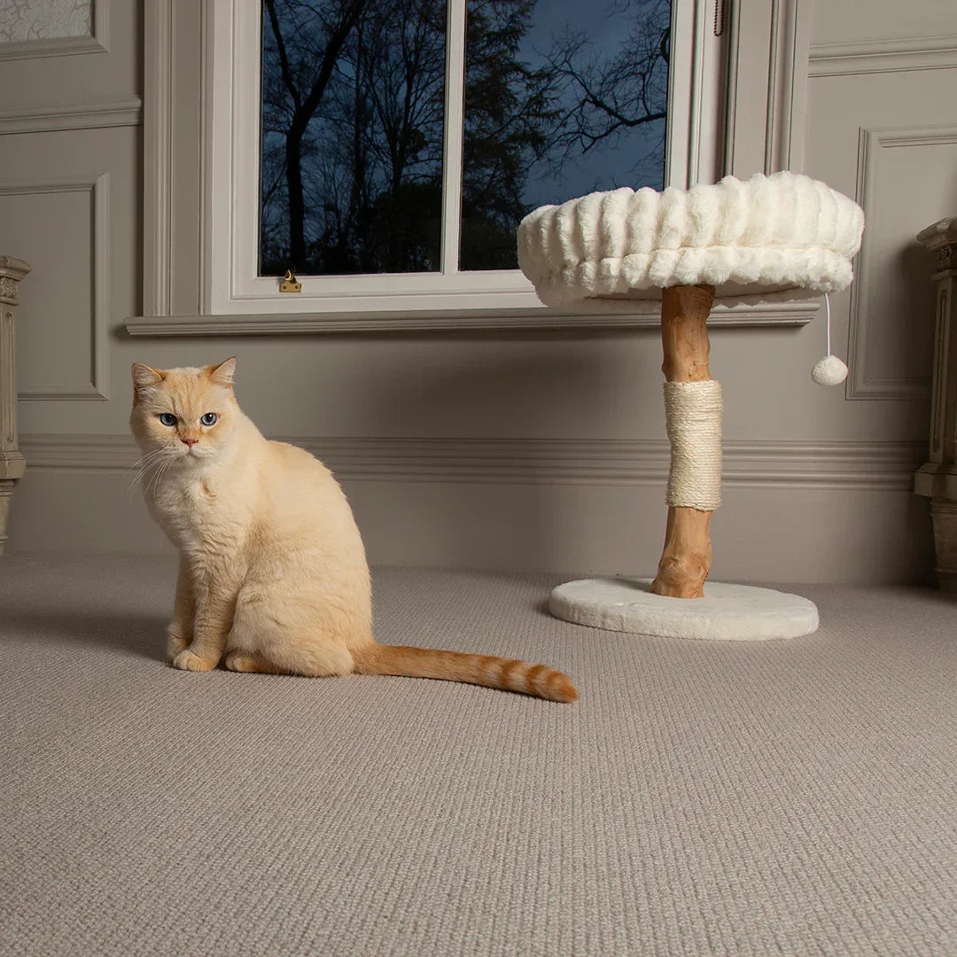 Scruffs Alpine Appalachians cream cat tree placed in a living room near a window