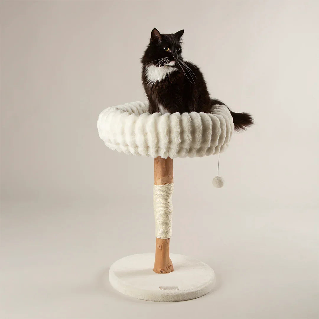 Scruffs Alpine Appalachians cat tree in cream with cat sitting in raised padded bed
