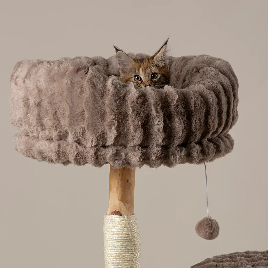 Close up of padded bed on Scruffs Alpine Appalachians taupe cat tree with hanging toy