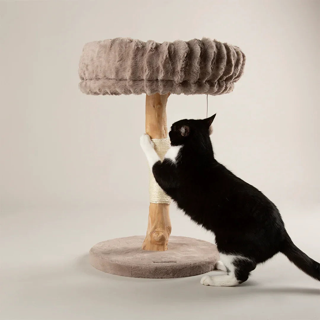 Cat scratching sisal post on Scruffs Alpine Appalachians taupe cat tree