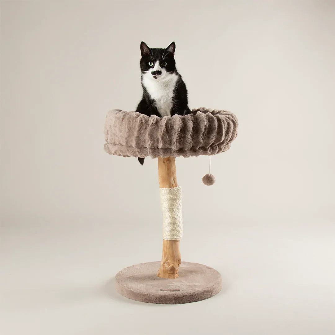Scruffs Alpine Appalachians cat tree in taupe with cat sitting in raised bed