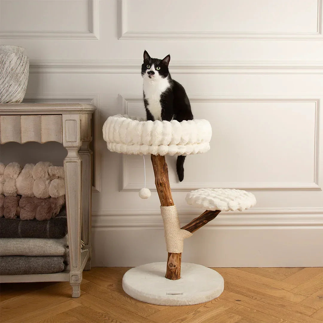 Scruffs Alpine Atlas cream cat tree styled in a modern living room