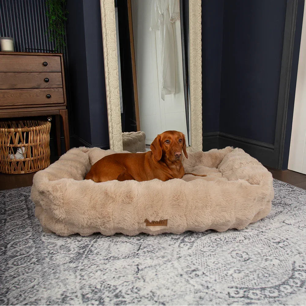 Dog resting in a large champagne Scruffs Alpine bolster dog bed in a bedroom