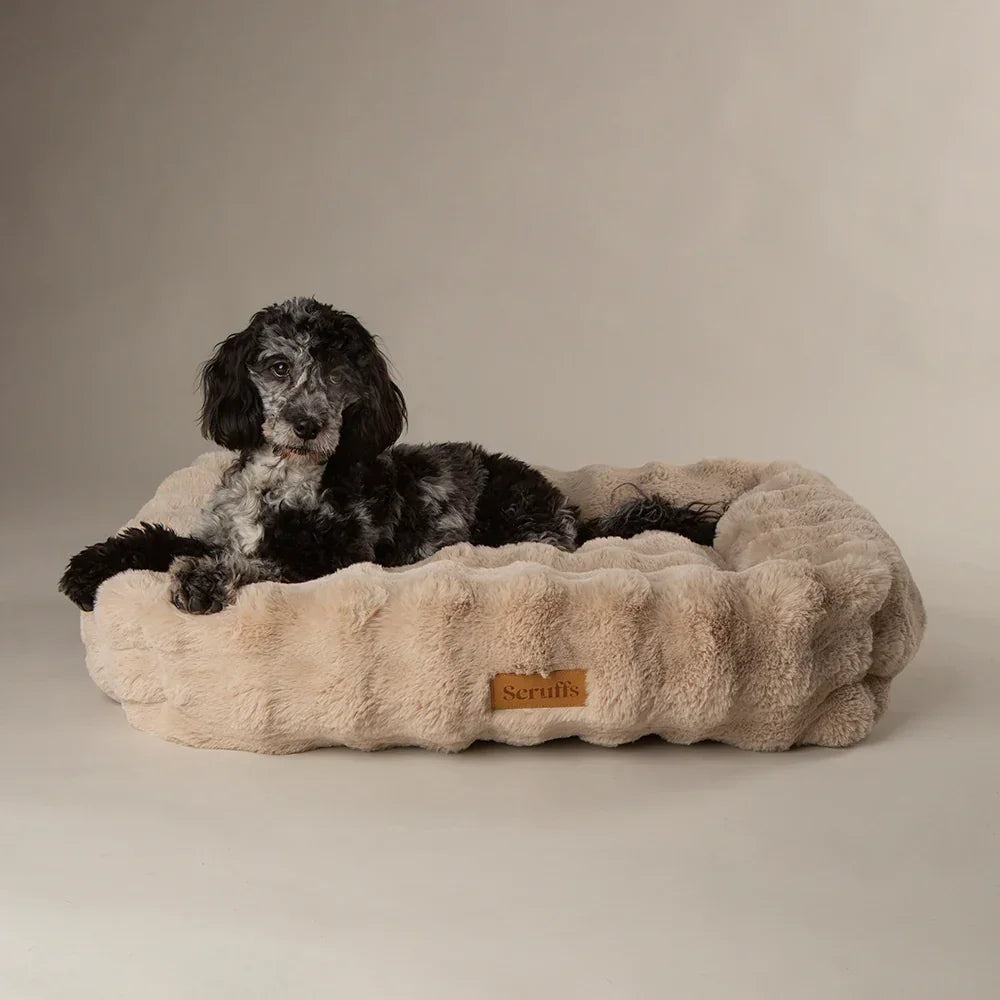 Black cockapoo lying in a champagne Scruffs Alpine bolster dog bed